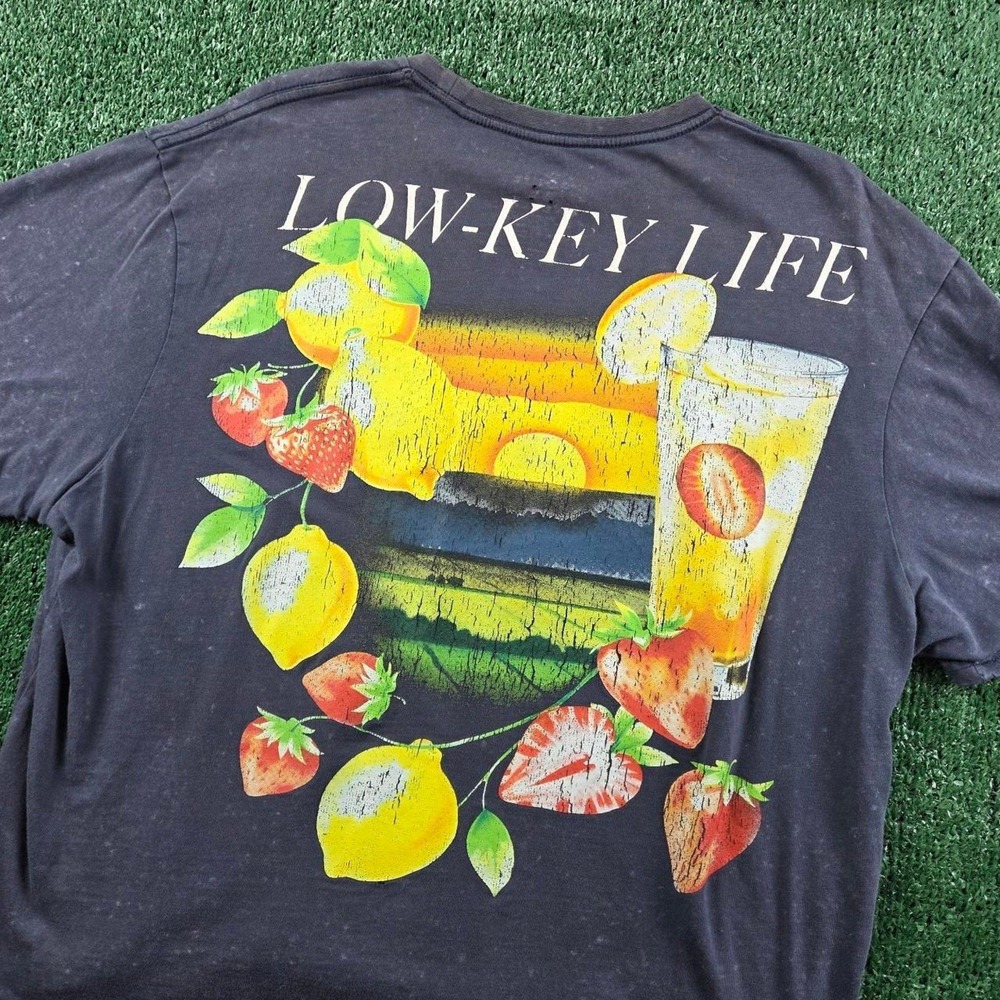 Goodie Two Sleeves Low-Key Life Graphic T-Shirt Mens Medium Gray Mineral Wash
